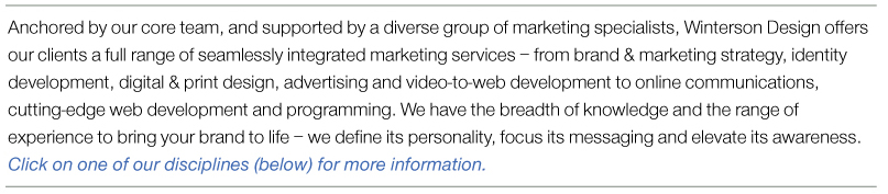 Marketing and Web Development Services